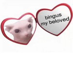 bingus my beloved