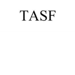 The Amazing Sword Fighters (T.A.S.F)