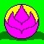 Lotus Inc.