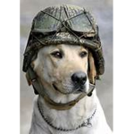 Dog Army (DA)