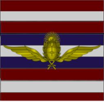 The Combatant's Air-Force