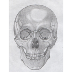 Death head