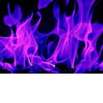 Purple Fire Studio's (Production Team)