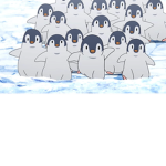 Penguin highway
