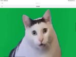 カピバラ王国