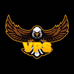 vp sport
