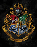 Wizarding world roleplay group