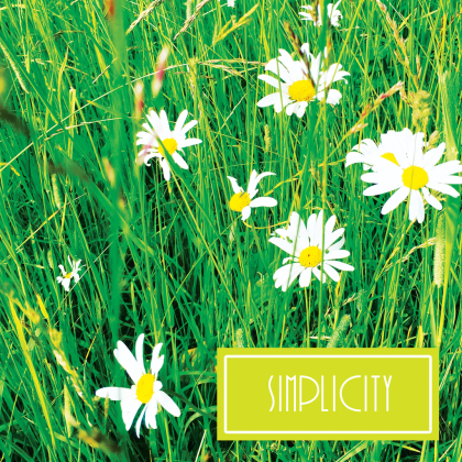 Vacation Roblox music