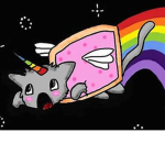 Lets Go Team Unicat