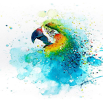 Leo's parrot group