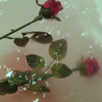 My nuggets :))