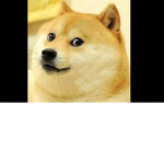 dogegang=)