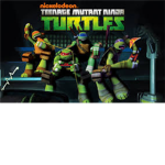 The TMNT Fan Group!
