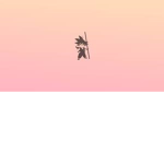 Donador EDUARDO245675 Robux