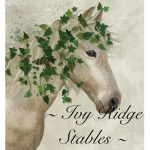 Ivy ridge stables