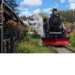 Cole train