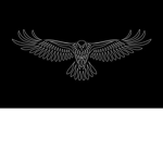 TheBlackHawkPirates