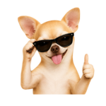 ST_Cool_Games
