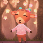 Starri's Lil Mochis