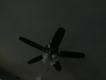 The community of fans 2