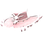 Aphrodite's Grace Vultures Hat