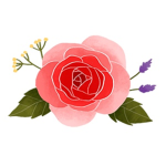 Robux-Donations-Welcome