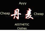 AESTHETIC Clothinggs