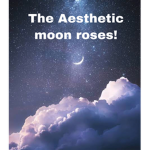 The Aesthetic moon roses!