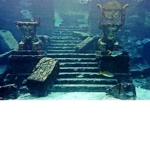 the deep sea cult