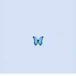 Butterfly Bluez Clothing