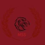 【QZMC】国家安全部｜MSS