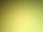 caca6575