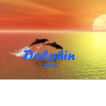 Dolphin Hotels!