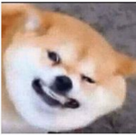 FLAME EN WAR FER