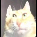 Smilemoor