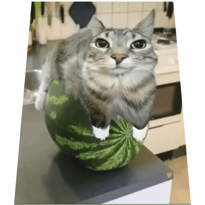 Funny Watermelon Cat meme Cape Roblox item