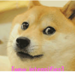 Doges only fan group