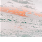 Lilly _ Aesthetic