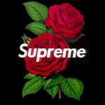 TRAP$PREME