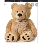 Teddys :)