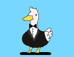 Business Duck's Store