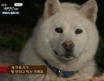 텐텐