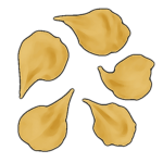 Division of the Golden Petal