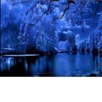 Blue team Blue