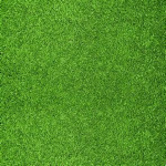 Grass United Of Roblox