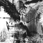 Iret Noir