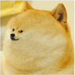 i like roblox games