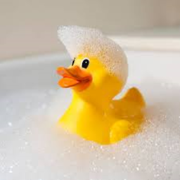 Ducky's Tub