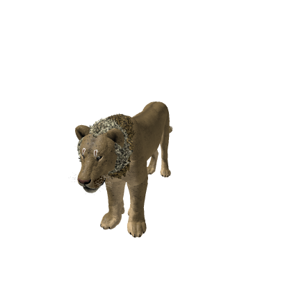 Adult TsavoLion