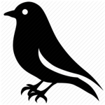 Crazy Crow (test games)